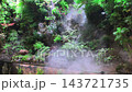 A large paludarium combines a terrarium and aquarium as a main indoor attraction. Mist cascades from above onto green plants and water filled with freshwater fish. 143721735