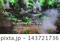 A large paludarium combines a terrarium and aquarium as a main indoor attraction. Mist cascades from above onto green plants and water filled with freshwater fish. 143721736