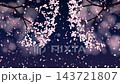 桜吹雪のモーション背景 夜桜 143721807