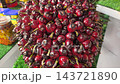 A close-up shot of oil palm fruit fresh bunches displayed on a table. The fruits are shown to the public for educational and agricultural learning purposes. 143721890