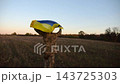 Soldier of ukrainian army running with raised flag Ukraine above his head at field. Young male military in uniform jogging with blue-yellow banner at meadow. Victory against russian aggression 143725303