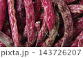 Cranberry beans. Fresh Organic Borlotti bean pods. Stylish modern food background. Magenta color. Creative foodstuff image. Grocery, dietary backdrop. Advertising, trendy magazine publication. Border 143726207
