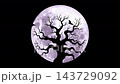 Animation of Halloween background, big full moon and dead tree with branches silhouette and creepy flying crows. Spooky Moonlit Sky of the black night of horrors, video looping 143729092
