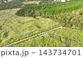 無人機空拍：初秋時節的箱根仙石原－蒲葦草地 143734701