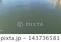 A gentle water surface 143736581