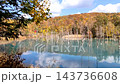 The autumn platinum blue pond 143736608