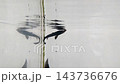 small sturgeon 143736676