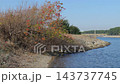 葛西臨海公園，渚，2025 年 11 月 143737745