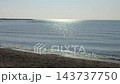 葛西臨海公園，渚，2025 年 11 月 143737750
