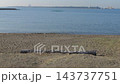 葛西臨海公園，渚，2025 年 11 月 143737751