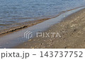 葛西臨海公園，渚，2025 年 11 月 143737752
