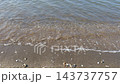 葛西臨海公園，渚，2025 年 11 月 143737757