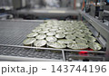 Mussel cans moving along an industrial conveyor belt 143744196