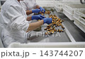 Seafood cannery workers manually packing mussels into tins 143744207