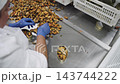 Worker manually canning fresh mussels in a food processing plant 143744222