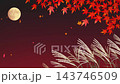 秋夜星空背景：秋葉、蒲葦、賞月、動畫視頻 143746509