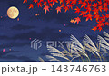 秋夜星空背景：秋葉、蒲葦、賞月、動畫視頻 143746763