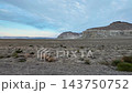 Flat-topped plateaus and pale cliffs with vertical grooves stretch along the Mangistau wilderness road. 143750752
