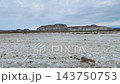Finely cracked, pale ground and shrubs against the backdrop of the Mangystau plateau. 143750753