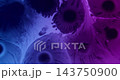 Spatter texture. Paint drop. Defocused purple blue neon color chemical round droplets liquid pigment spreading on abstract acrylic background. 143750900