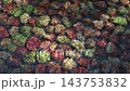 川の清流を流れる水と小石 143753832