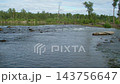Footage of shallow and fast flowing rapids in the Nepean River between Penrith and Emu Plains just passed the turbulent and dangerous Penrith Weir in New South Wales, Australia 143756647