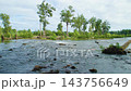Footage of shallow and fast flowing rapids in the Nepean River between Penrith and Emu Plains just passed the turbulent and dangerous Penrith Weir in New South Wales, Australia 143756649