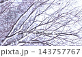 [Vertical video] Snow-covered trees in a snowy landscape 143757767