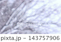 [Vertical Video] Blurred Natural Background Material: Snow-covered trees in a snowy landscape 143757906