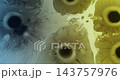 Paint blotch. Splatter liquid. Defocused blue yellow neon color droplet substance flow floating on abstract creative acrylic art background. 143757976