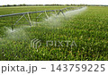 A center pivot irrigation system waters lush corn crops across a large field. This agricultural setup shows the mechanism delivering water to vibrant corn plants in a rural setting. 143759225