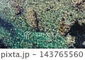 Aerial View. Blue Water And Rocky Seashore 143765560