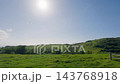 山頭草原(長崎県生月島) 山頭草原(長崎県生月島) 143768918