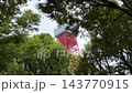 透過樹木的縫隙看到的東京鐵塔城市景觀 143770915