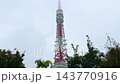 雨天透過樹木看到的東京鐵塔。 143770916