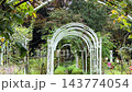 芝公園玫瑰園：一座被綠植環繞的白色拱門 143774054