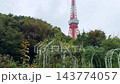 從芝公園玫瑰園對面望去，可以看到東京鐵塔 143774057