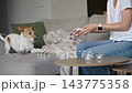 Dog running away from owner with toothbrush and toothpaste 143775358