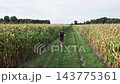 Man running between corn fields, aerial view 143775361