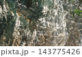 Sunlight reflections from water shimmering on stone surface 143775426