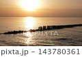 Calm sunset at Baltic sea, seascape with wooden breakwaters and seagulls, nobody 143780361