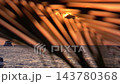 Sunset with coconut palm tree leaf silhouette. Tropical summer destinations 143780368