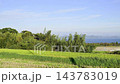 棚田風景　滋賀県大津市福谷の郷 143783019