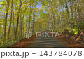 251104 秋山鄉：秋色斑斕的山毛櫸隧道 143784078