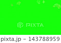 Natural green leaves falling down animation with green background chroma key 143788959