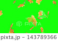 Vibrant Orange Fall Leaves Floating and Falling Down on Green Screen Background 143789366