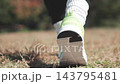 The feet of a person walking while wearing sneakers 143795481
