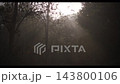 High-speed 120 fps slow-motion footage of sun rays in the Assam forest High-speed 120 fps slow-motion footage of sun rays in the Assam forest 143800106
