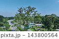 Drone shot of Marabou storks peacefully nesting atop treetops Drone shot of Marabou storks peacefully nesting atop treetops 143800564