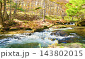 Nikko City, Tochigi Prefecture: The Yukawa River flows through Oku-Nikko, amidst the vibrant autumn foliage. 143802015